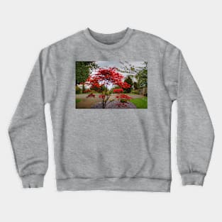 Red bush Crewneck Sweatshirt